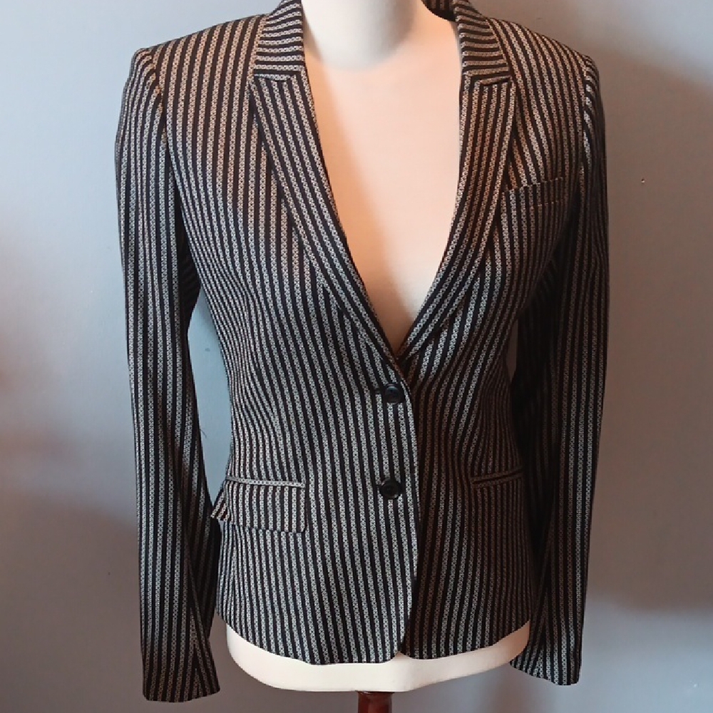 Tiger Of Sweden Odina Striped Wool Blend Blazer NWOT
